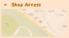 ショップアクセス/Shop Access